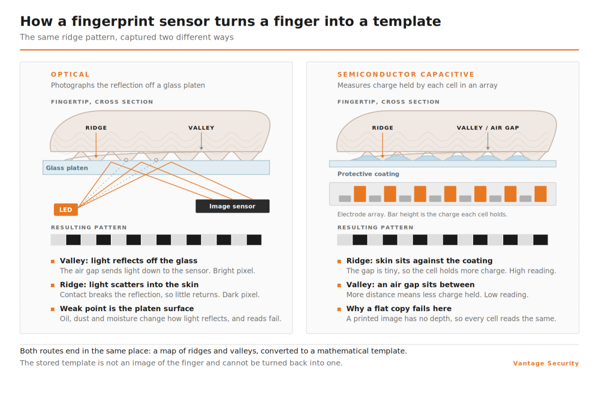 fingerprint optical vs capacitive sensor diagram