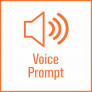 Image of 'Voice Prompt' feature