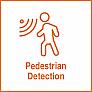 Image of 'Pedestrian Detection' feature