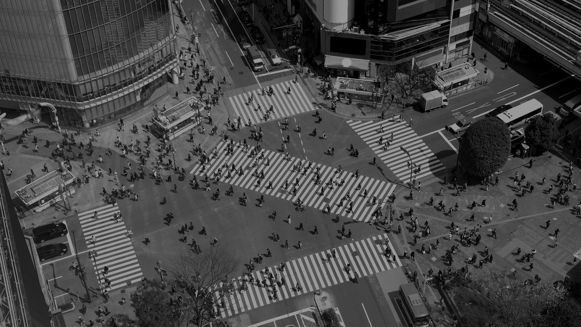 Large number of people