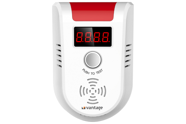 Digital Display Wireless Gas Detector