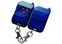 Image of 'Wireless Remote'