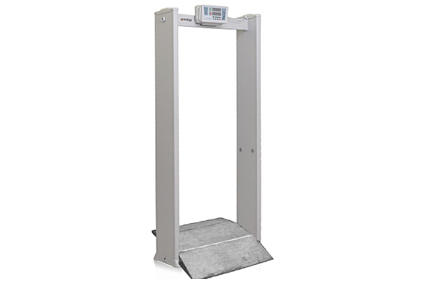 Image of 'Door Frame Metal Detector'